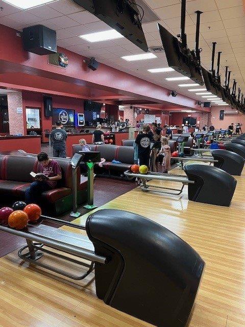 Gecko Bowling Fun