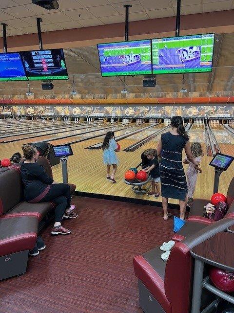 Gecko Bowling Fun