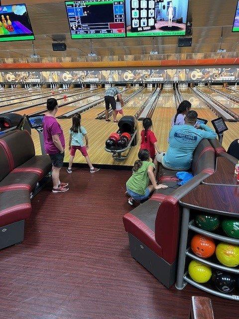 Gecko Bowling Fun